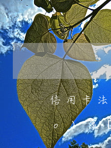 信用卡法院起訴了還會(huì)報(bào)案嗎，信用卡逾期未還被法院起訴，是否需要報(bào)警處理？
